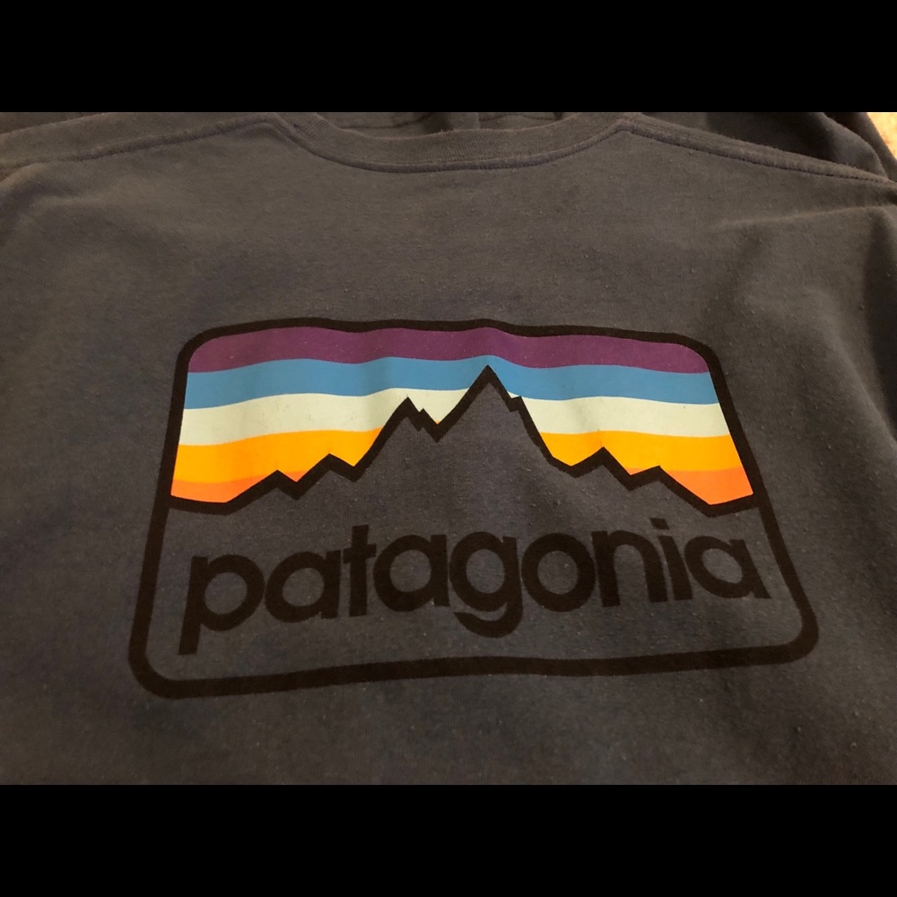Men’s Patagonia Line Logo Tee